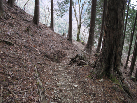 20160204hike (337)